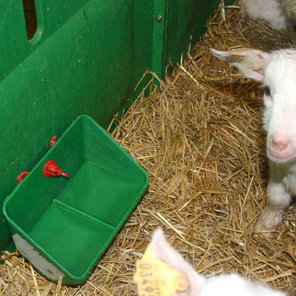 Barotava sivēniem, 0.9 litri